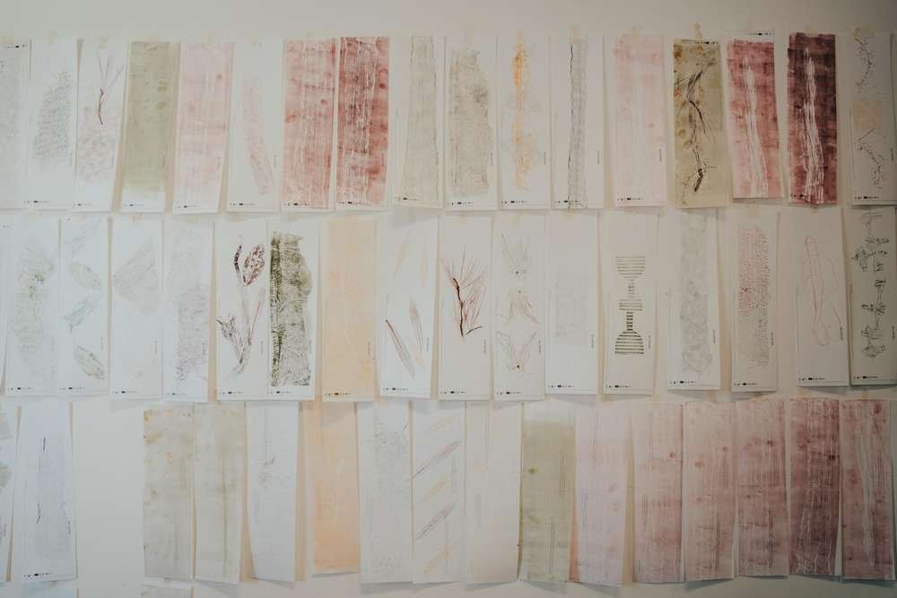 The prints from the workshop, pinned to the wall The prints from the workshop, pinned to the wall